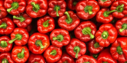 تصویر 1 از خرید و قیمت انواع فلفل دلمه ای قرمز